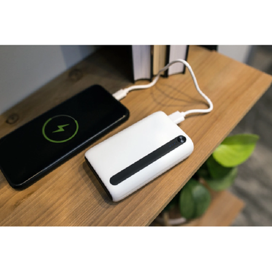 Power bank 10000 mAh | Dashonte V1296-05