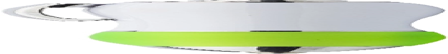 Długopis V1644-10 zielony
