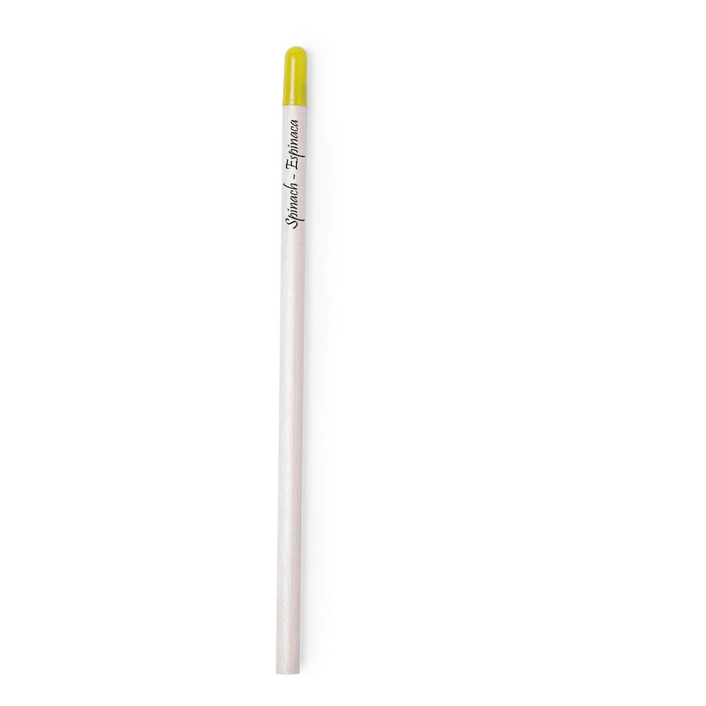 Zestaw 3 ołówków z ziarnami V1771-99 wielokolorowy