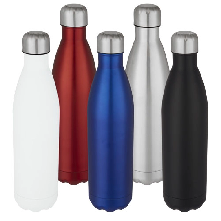 Cove 750 ml vacuum insulated stainless steel bottle PFC-10069301