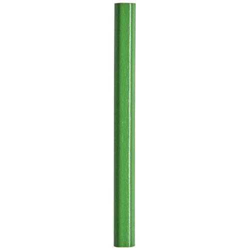 Mały ołówek z kolorowym korpusem Cosimo PFC-10710004 zielony