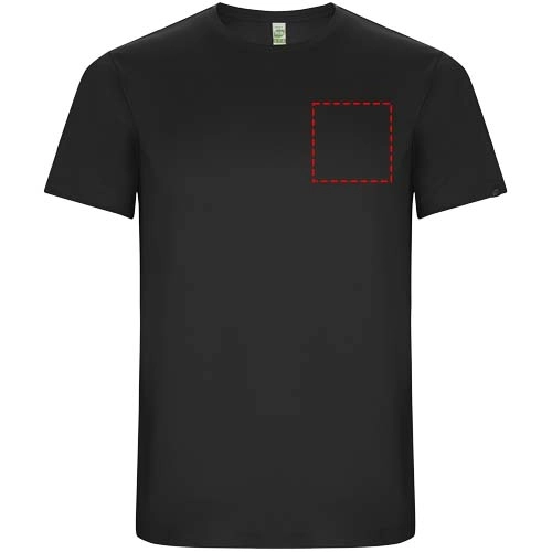 Imola sportowa koszulka męska z krótkim rękawem PFC-R04274B6